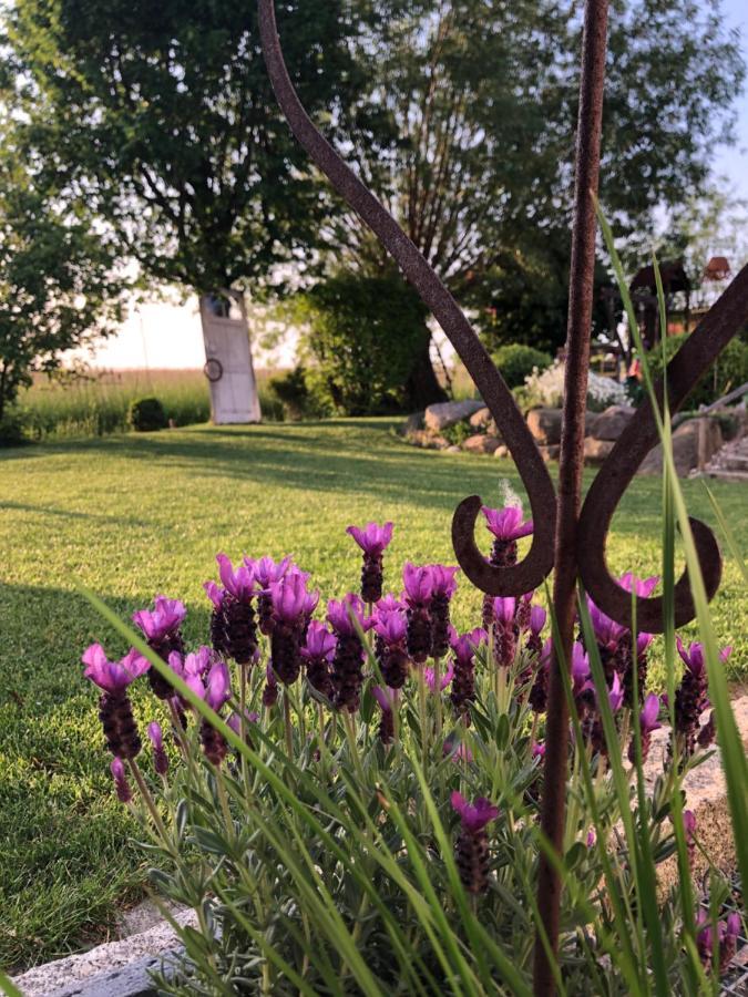 Ferienwohnung Thiergarten Mistelgau Kültér fotó